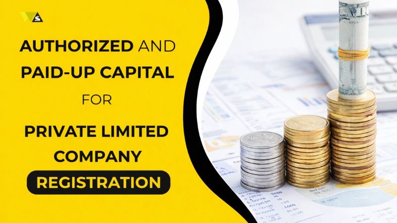 Paid-Up Capital for Private Limited