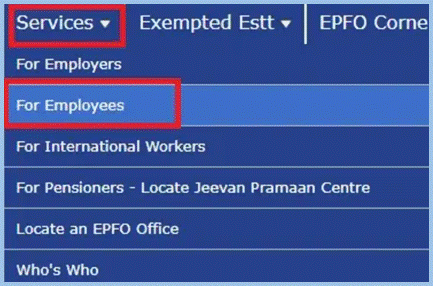 For Employees