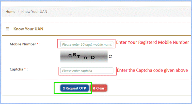 Type your registered mobile number 