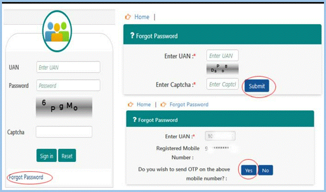 Reset Your Universal Account Number Password