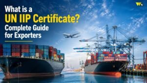UN IIP Certificate